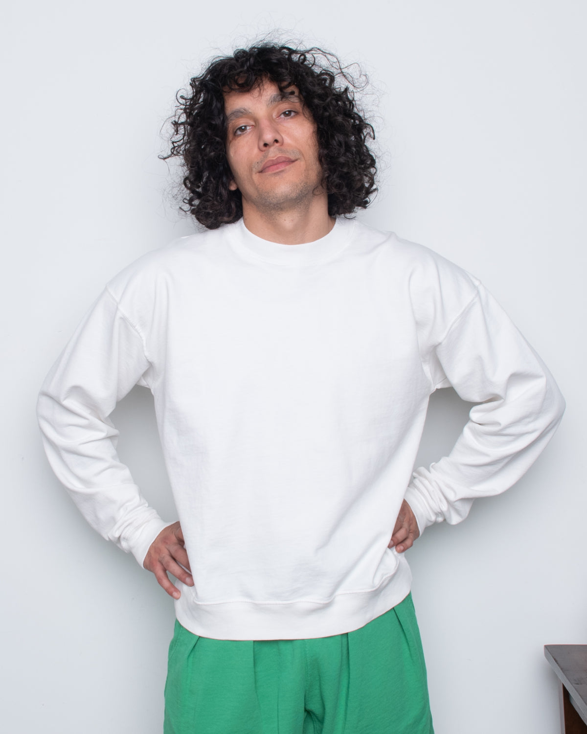 FRENCH TERRY CROPPED SWEAT SHIRT